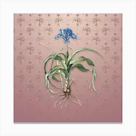 Vintage Iris Scorpiodes Botanical on Dusty Pink Pattern n.2212 Canvas Print