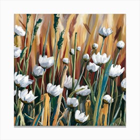 White Flowers In The Field Canvas Print