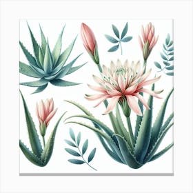 Flower of Aloe 3 Canvas Print