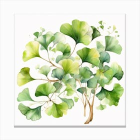 Tropical leaves of ginkgo biloba 4 Canvas Print