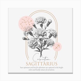 Sagittarius Canvas Print