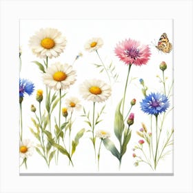 Flowers of chamomile and cornflower 2 Canvas Print