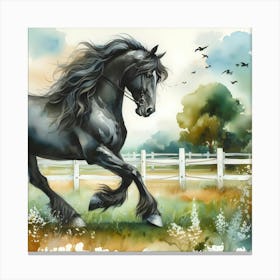 Black Horse In The Field 1 Canvas Print