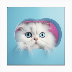 Persian Cat With Blue Eyes peek Canvas Print