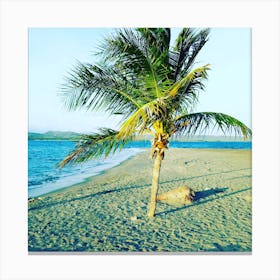 Palm Tree On The Beach Canvas Print