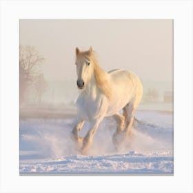 White Horse In The Snow Canvas Print