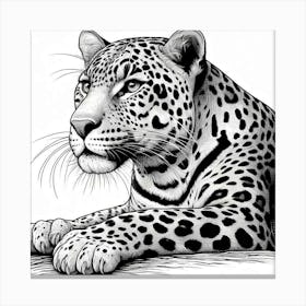 Line Art leopard 3 Canvas Print