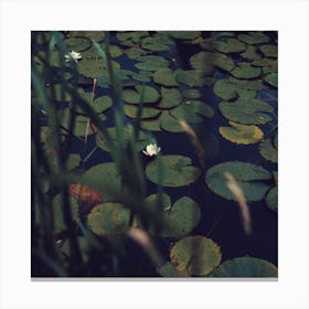 The Dreams Of The Lillies Moody Nature Square Canvas Print