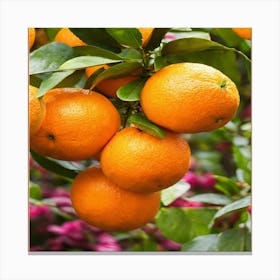 Oranges On A Tree Canvas Print