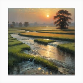 Sunset In A Rice Field Canvas Print