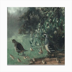 Quail And Chicks Canvas Print