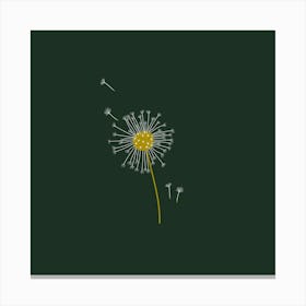 Dandelion Seeds Flowers Botanical Canvas Print