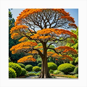 Orange Tree In The Garden Canvas Print