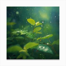 Raindrops In The Rain Canvas Print