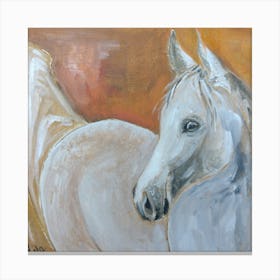 White Horse, Nature Decor  Canvas Print