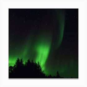The Northern Lights 04 Canvas Print