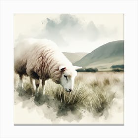 Sheep In The Field 1 Canvas Print