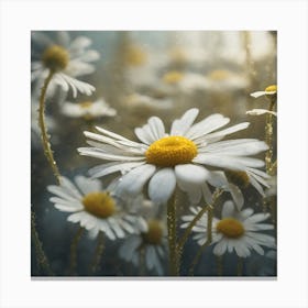 Daisy 2 Canvas Print