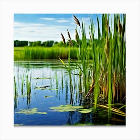 Grass Plant Vegetation Water Reed Calm Cane Season Scene Green Tranquil Background Natur Canvas Print