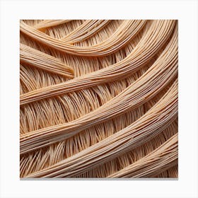 Close Up Of Noodles 1 Canvas Print