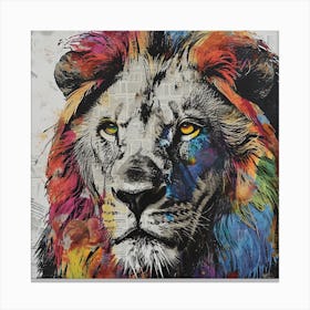 Lion colours Canvas Print