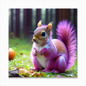 Cute Squirrel Canvas Print