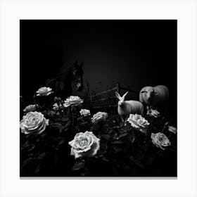 Black And White Roses 2 Canvas Print