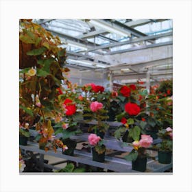 Flowers In A Greenhouse Canvas Print