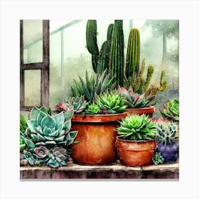 Cacti And Succulents 16 Canvas Print