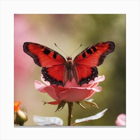 Butterfly Canvas Print