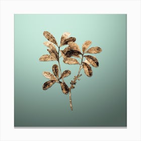 Gold Botanical Northern Bayberry on Mint Green n.3523 Canvas Print