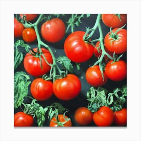 Tomatoes (3) Canvas Print