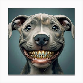 Gold Teeth 5 Canvas Print