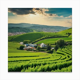 Vineyards In The Countryside Canvas Print