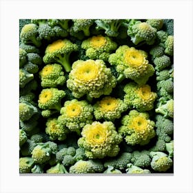 Florets Of Broccoli 23 Canvas Print