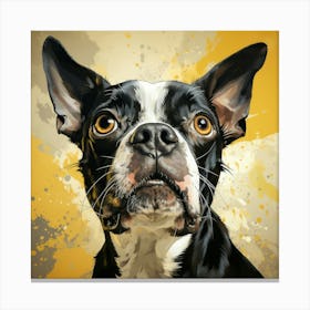 Boston Terrier 9 Canvas Print