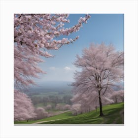 Cherry Blossoms On A Hill Canvas Print
