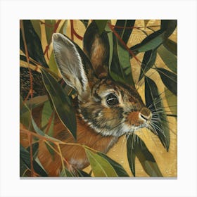 Rabbit In Eucalyptus Canvas Print