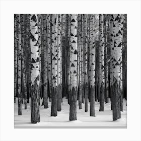 Birch Trees 4 Canvas Print