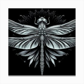 Dragonfly 24 Canvas Print