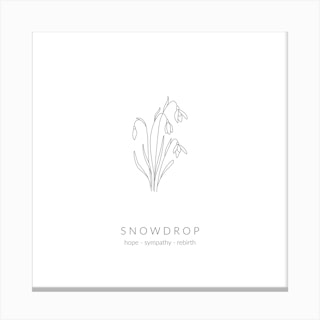 Snowdrop Birth Flower Square Canvas Print