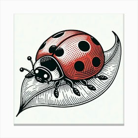 Line Art ladybug 2 Canvas Print