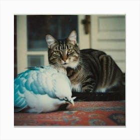 Cat with blue bird Canvas Print