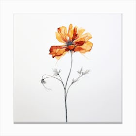 Orange Poppy Canvas Print