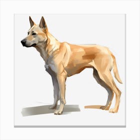 Carolina Dog Canvas Print