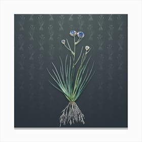 Vintage Blue Corn Lily Botanical on Slate Gray Pattern Canvas Print