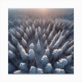 Aerial View Of Snowy Forest 6 Canvas Print