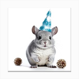 Chinchilla Canvas Print