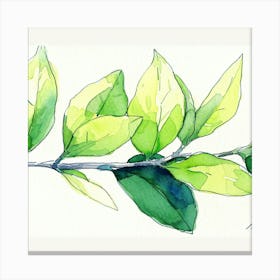 Green Leaf Watercolor Painting Canvas Print