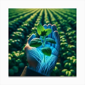 Hand Holding A Plant 3 Canvas Print